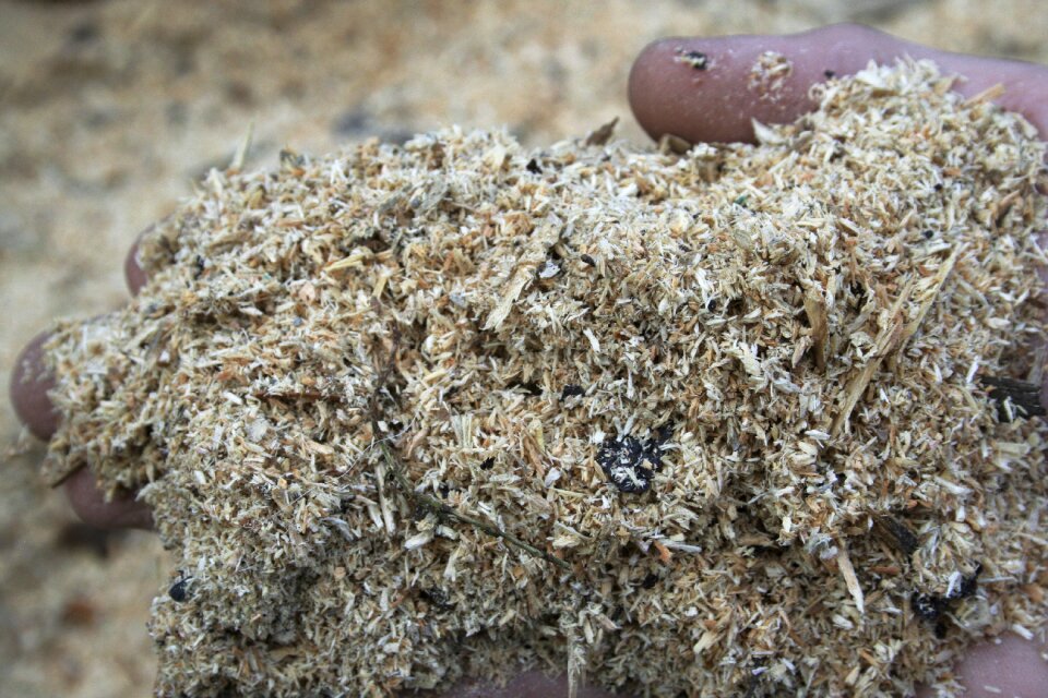 Shavings waste fragmented