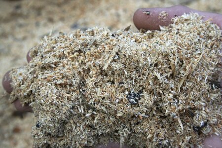 Shavings waste fragmented