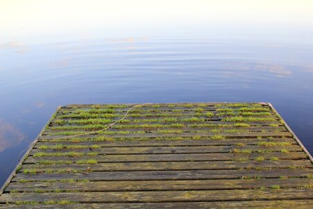 Water old bridge grass