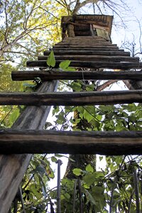 Nature treehouse hunter seat