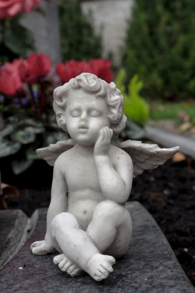 Farewell condolences cemetery