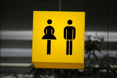 Shield toilets loo