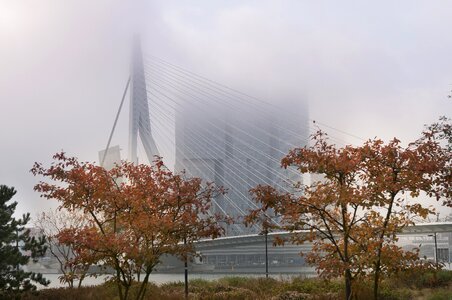Fog erasmus bridge bridge