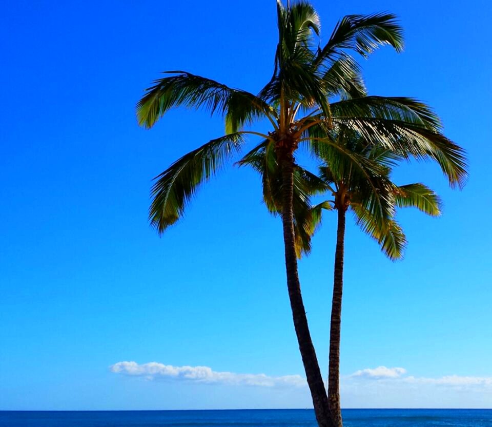 Island paradise vacation