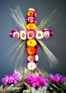 Cross harvest festival church