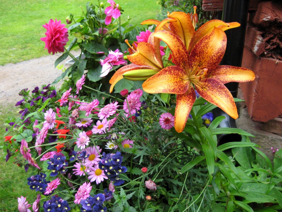Color colorful bouquet
