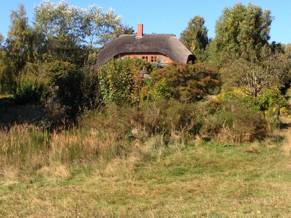 Natural nature garden