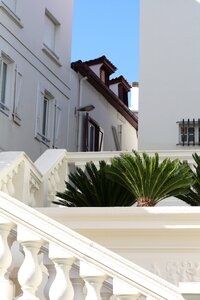 White summer south of france