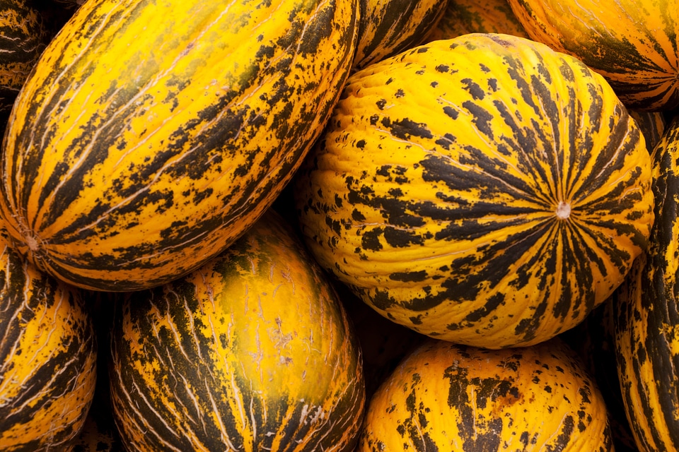 Fruit healthy market