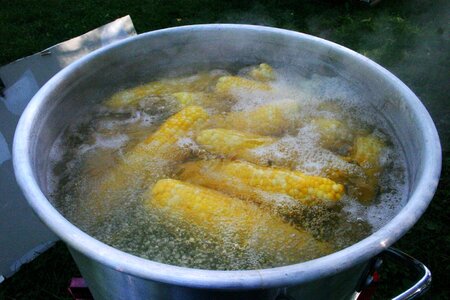 Organic food boiled