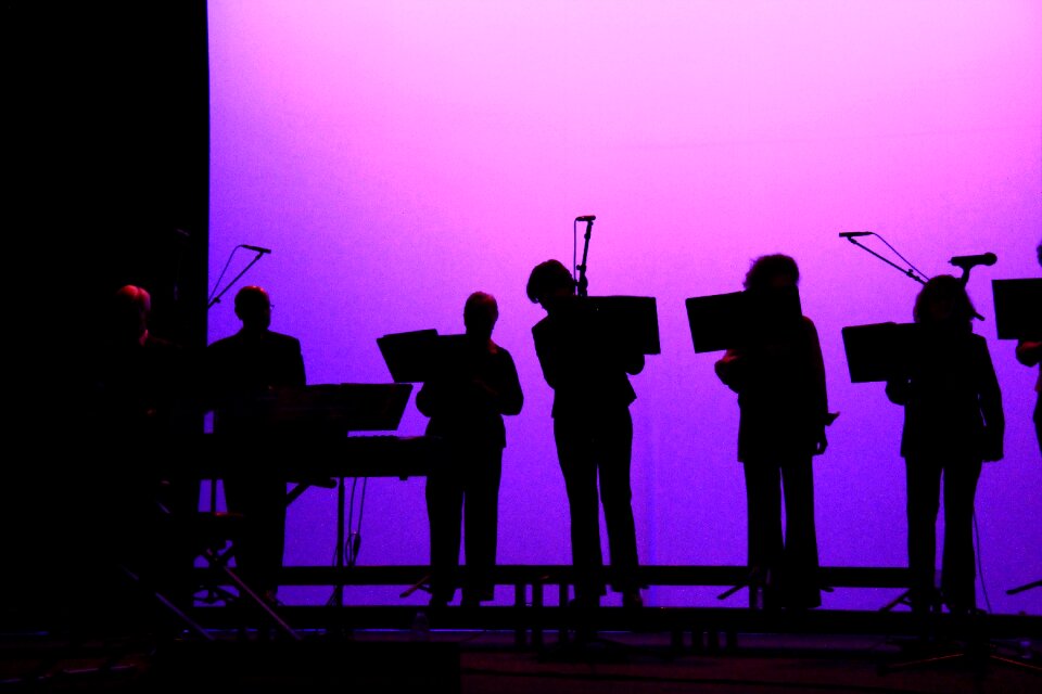 Orchestra shadow scene