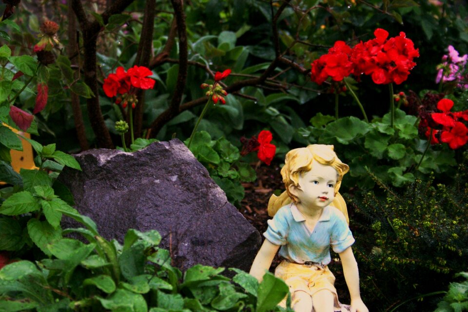 Fantasy flowers dreamy