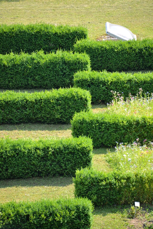 Lines garden labyrinth