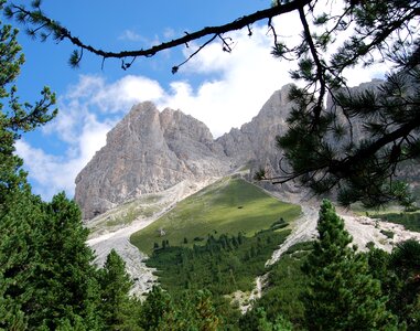 Mountains branch italy