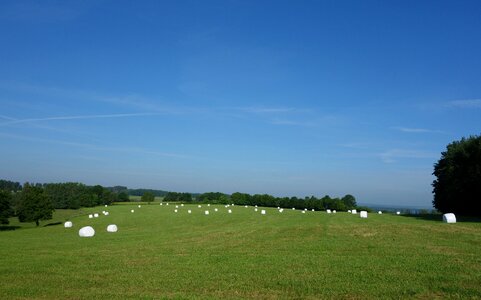 Agriculture bale cattle feed photo