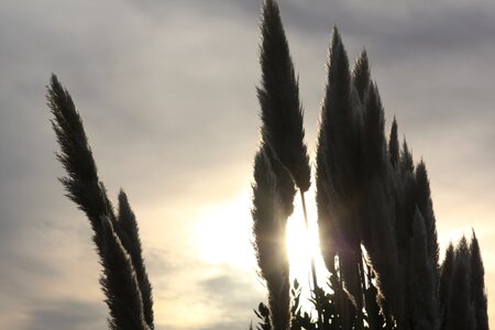 Sun sky clouds
