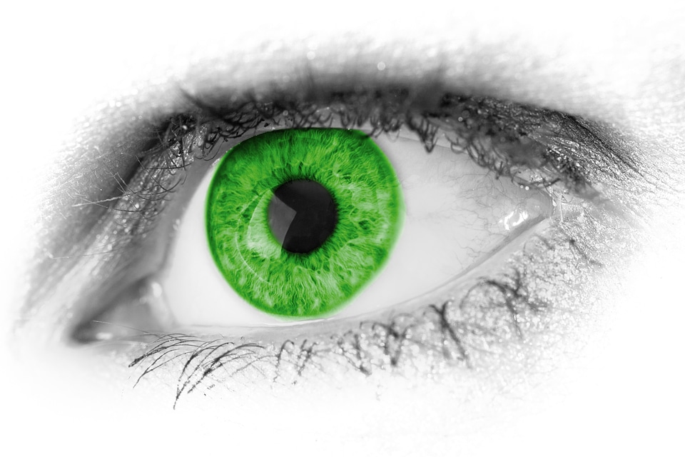 Green close close-up