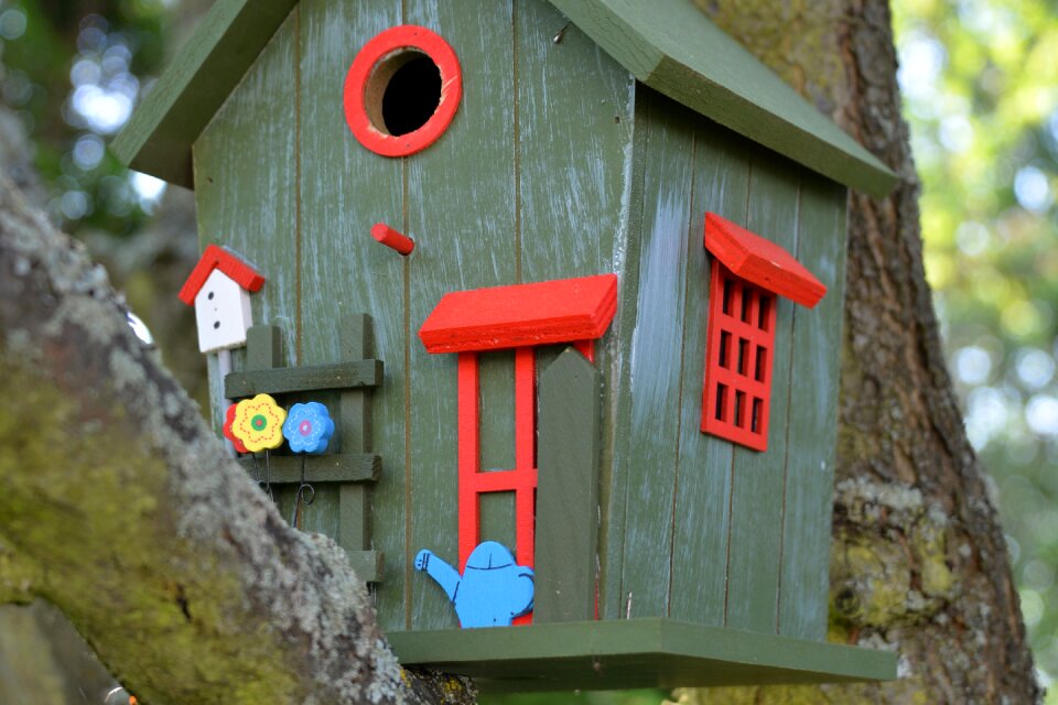 Bird feeder tinker feeding