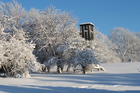 Winter dream snow magic trees photo