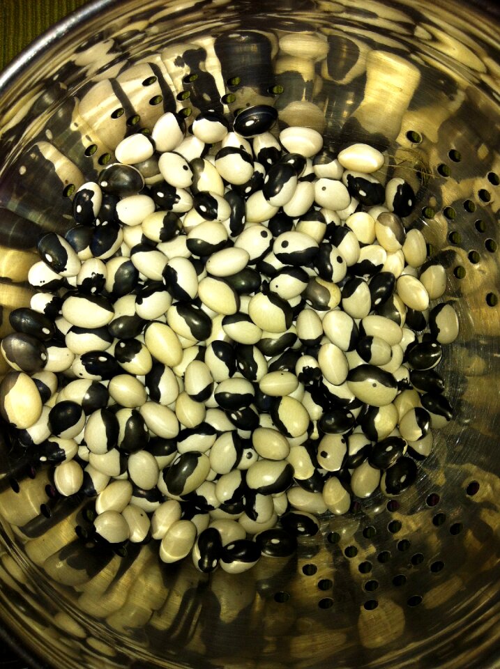 Orca food vegetable