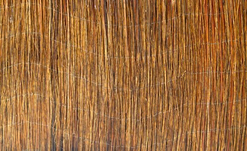 Pattern nature wall