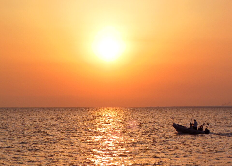 Sunset orange sea orange fish