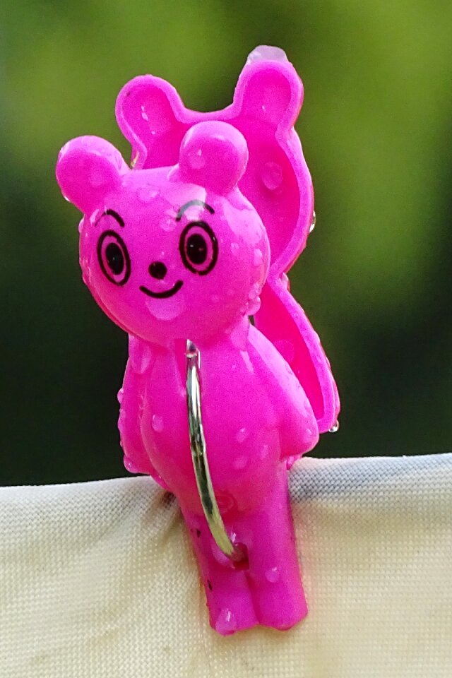 Clothes peg bear clip