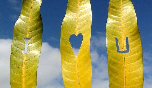 Love romantic valentine