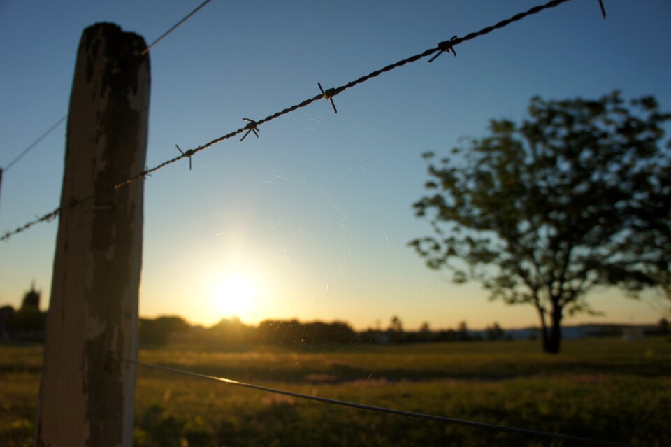 Fence barbed wire barbed wire fence photo