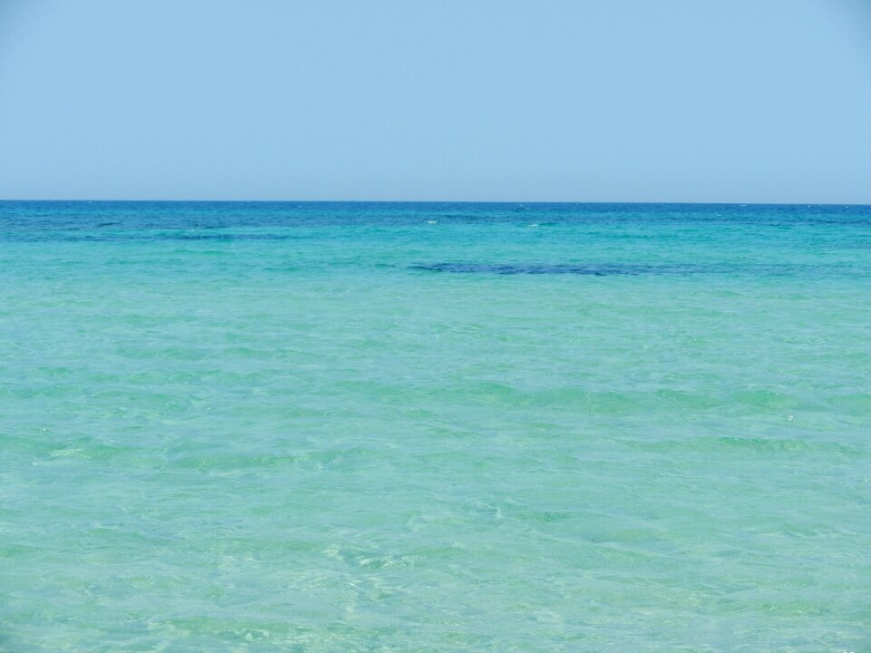 Panorama scenic summer