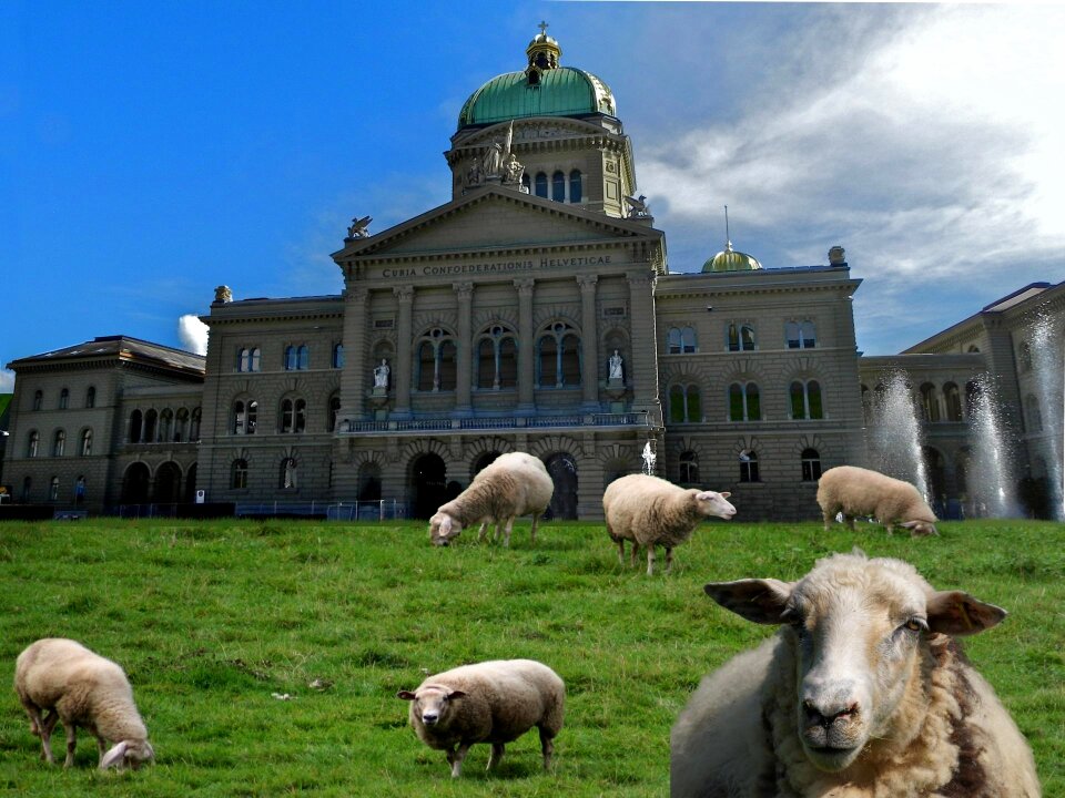 House bundeshaus seat of government