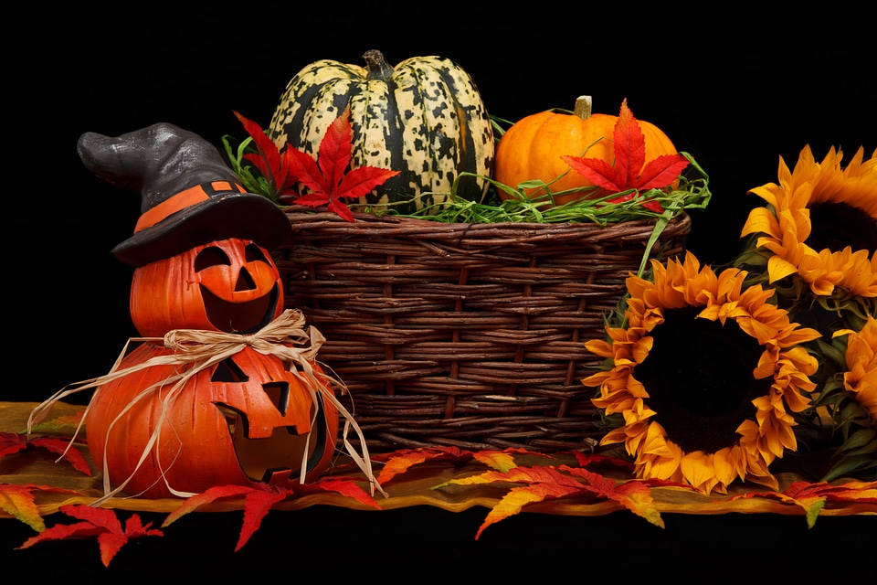 Decoration fall halloween