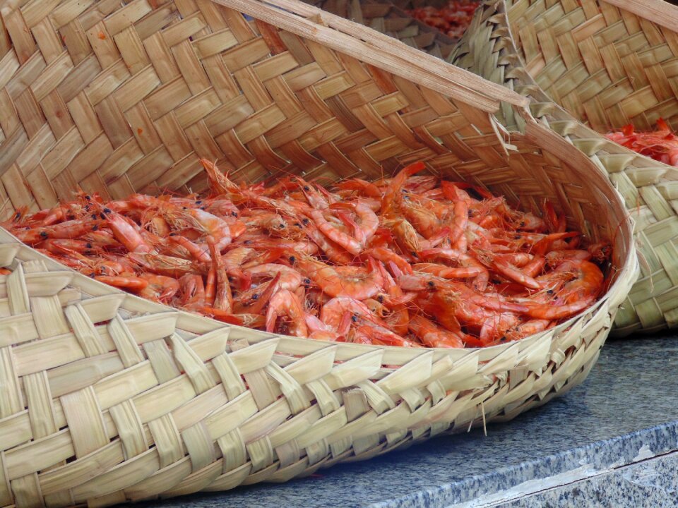 Brazil maranhão são luís