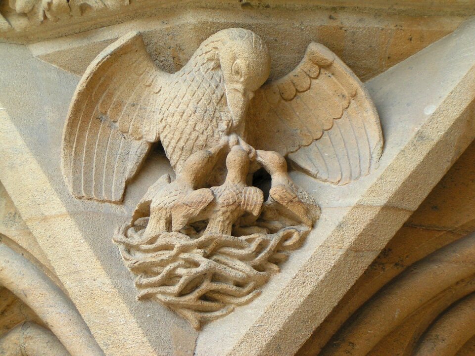 Metz cathedral pelican