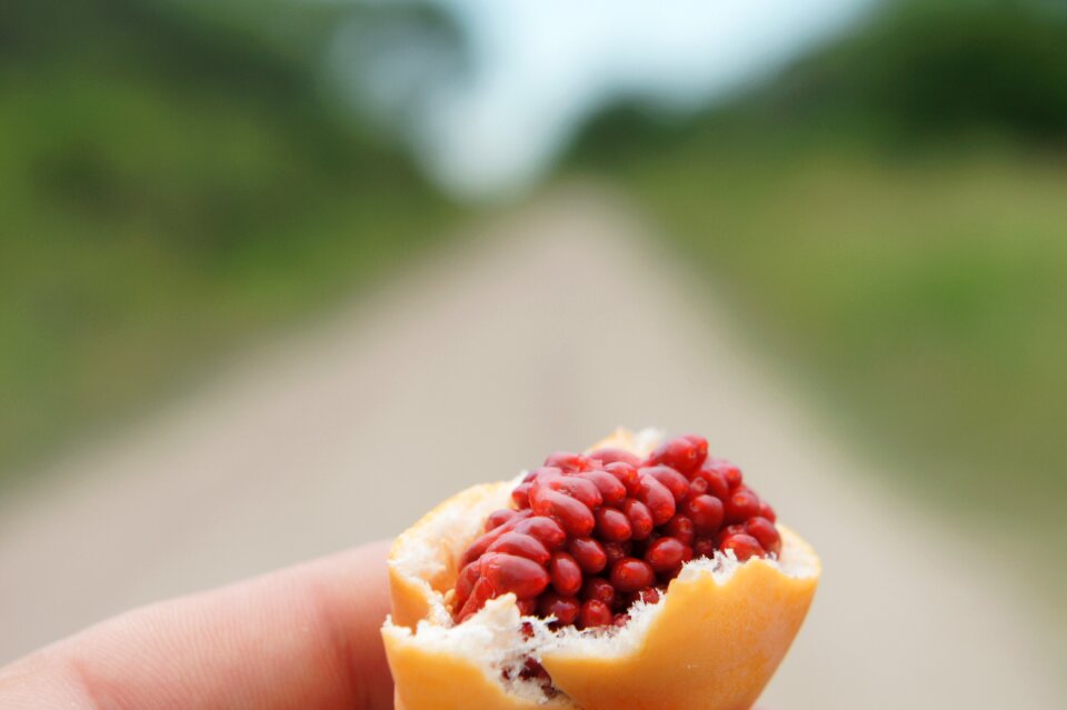 Fruit passiflora wild fruit