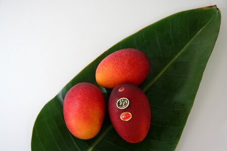 Egg of the sun gift apple mango