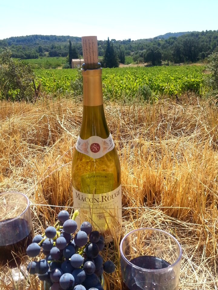 Vine france romantic