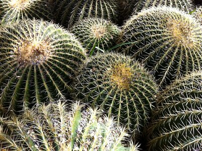 Arizona landscape outdoors