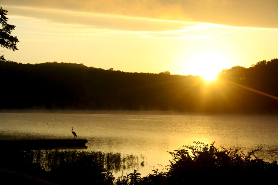 Landscape summer peaceful
