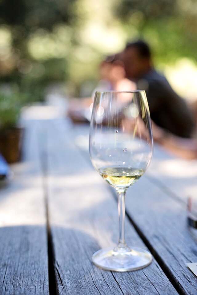 Wine tasting winery