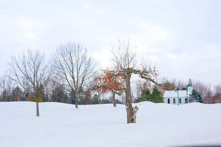 Snow winter landscape snow landscape photo