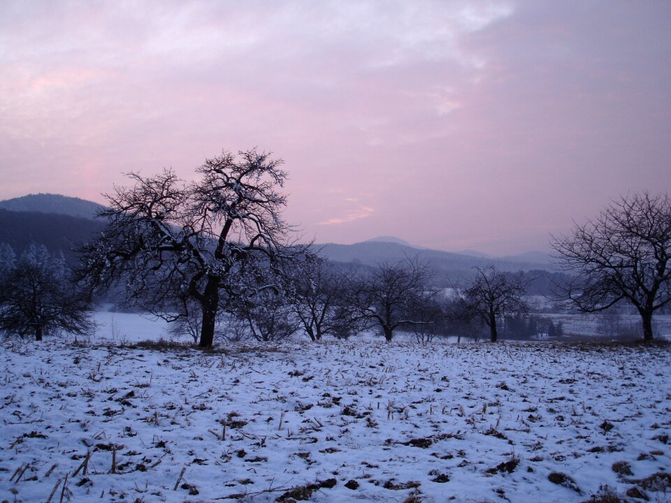Sundgau snow winter