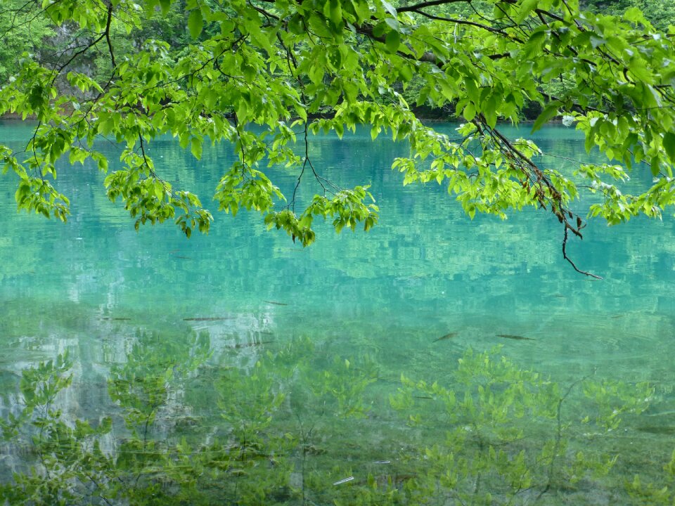 Nature landscape lake