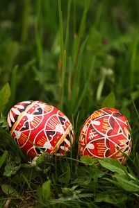 Colorful decoration easter photo