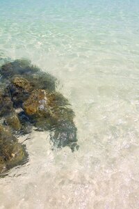 Nature summer ocean