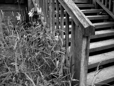 Black white staircase rise photo