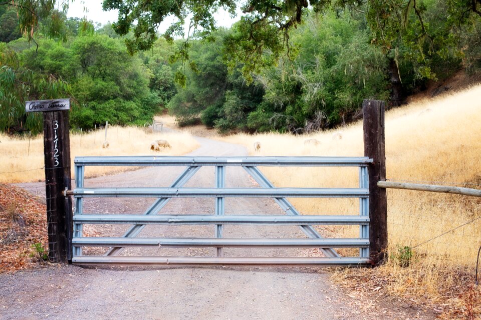 Iron gate country natural