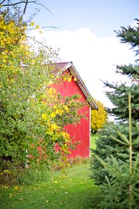 Red barn rustic photo