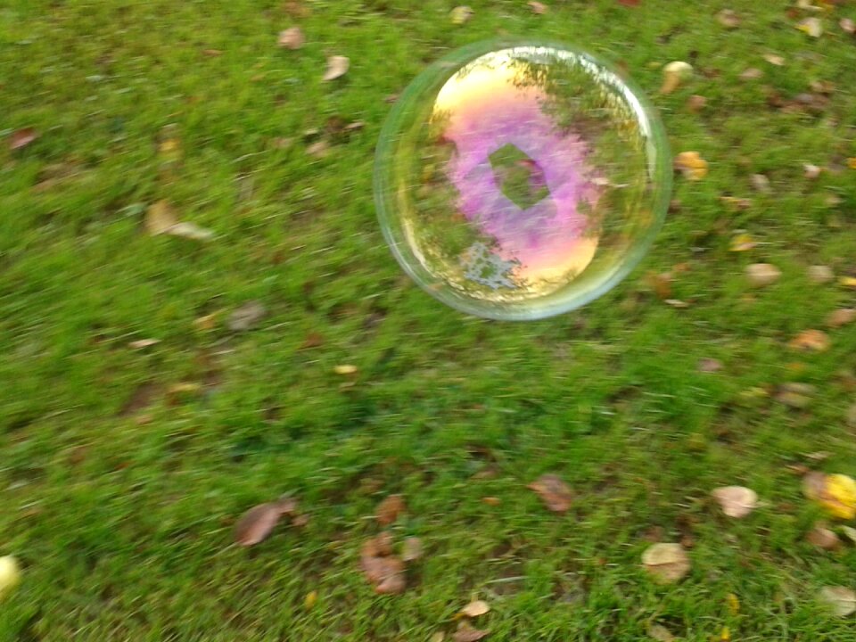 Nature ball autumn