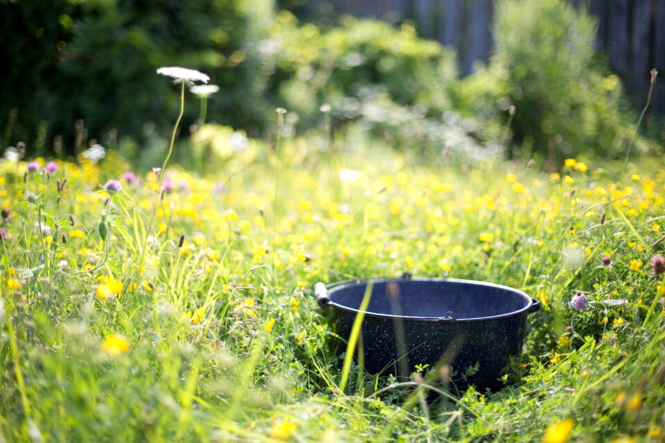Outdoors antique